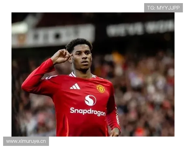 拉什福德生涯荣誉与团队成绩解析