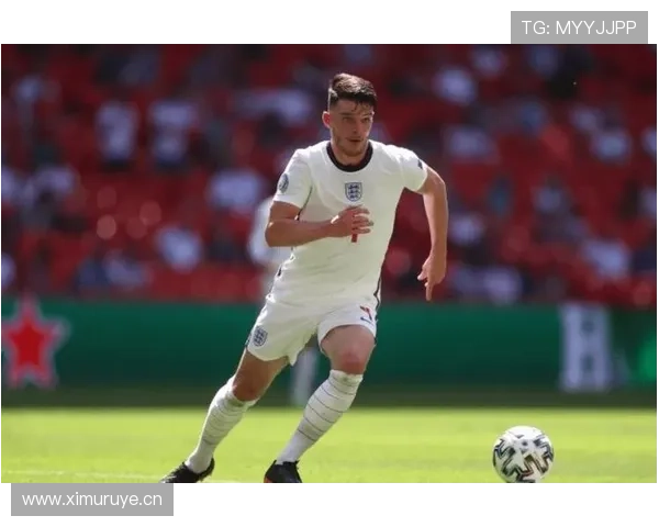 赖斯1亿身价是否虚高：防守价值与市场溢价分析