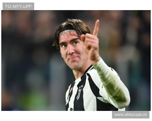 弗拉霍维奇与伊萨克：风格分化的中锋对比分析